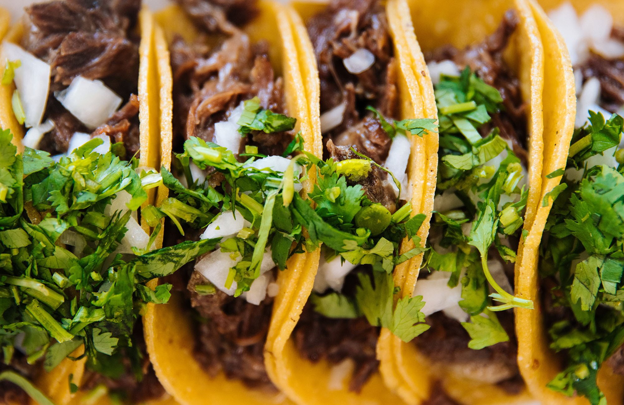 3 Must-Try Taco Spots in Knoxville