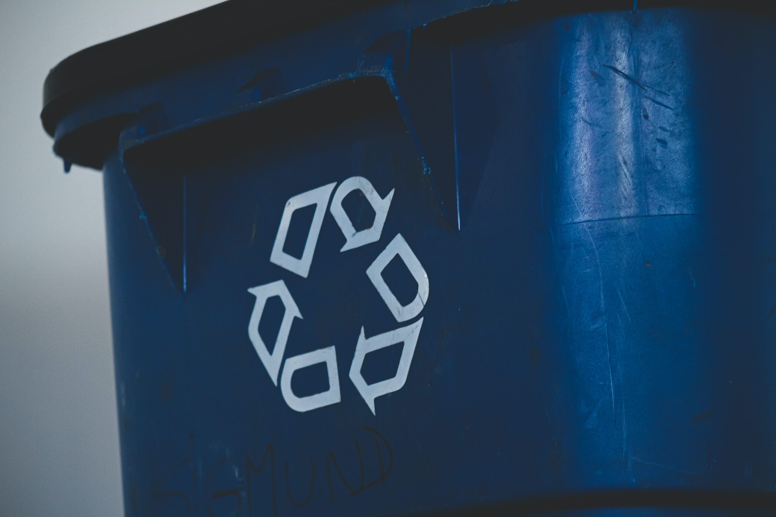 5 Ways to Live Sustainably in Knoxville