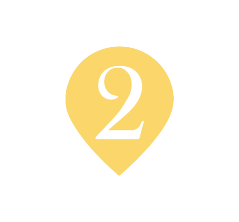 5 Dog Friendly Hikes Near Knoxville - New2Knox